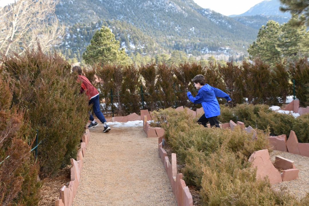 Maybe it wasn't a good idea to let them get lost in the hedge maze at The Shining hotel?