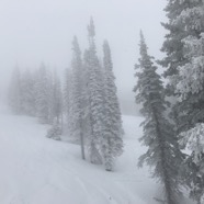 IMG_1304.JPG