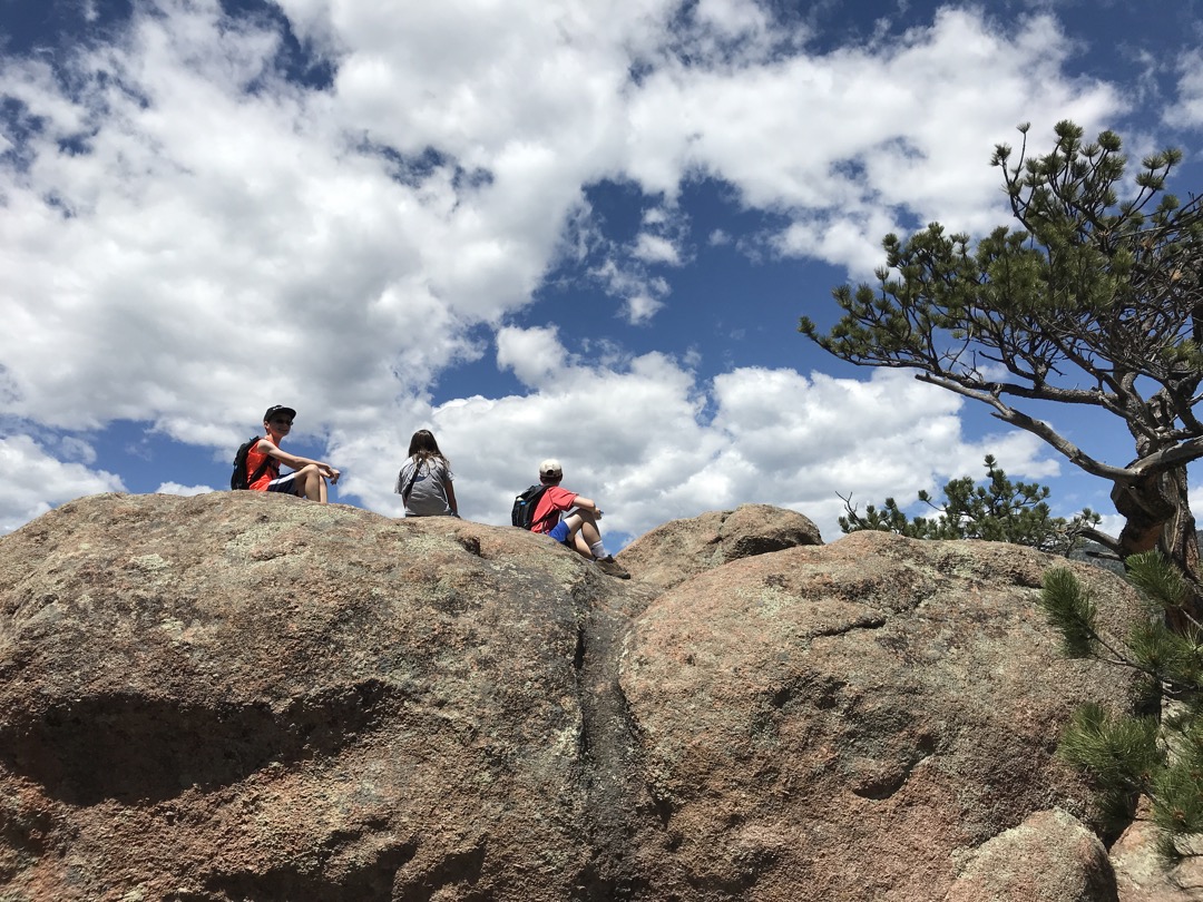 Enjoying the view