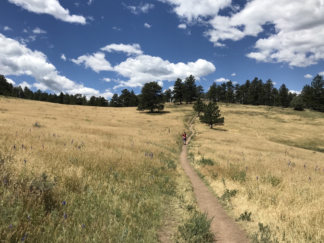 Tim crosses the meadow on Sleepy Lion Trail