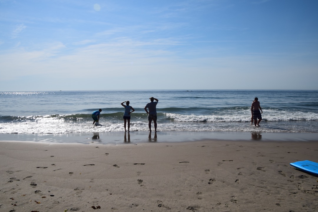 Beautiful day at the beach
