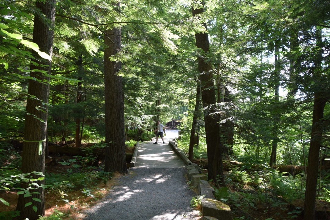 Is that Bigfoot on the trail?