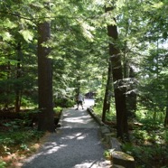 DSC_6182.JPG