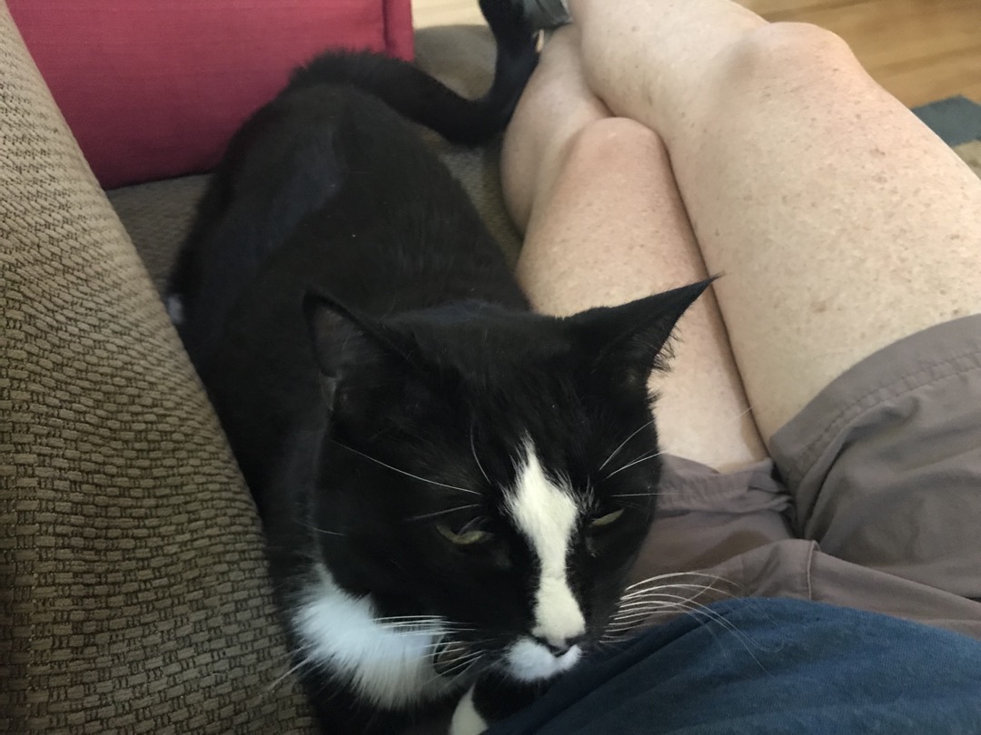 Henry was very happy to see us!