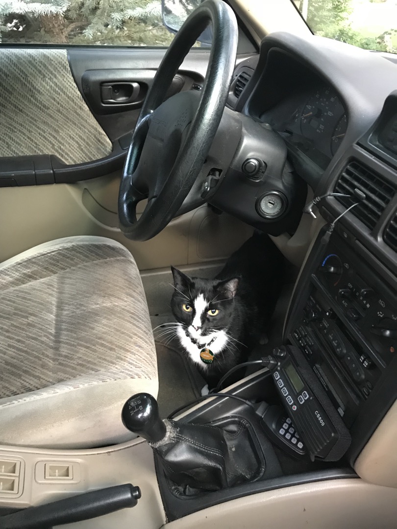 Not a legal driver