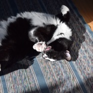 DSC_6290.JPG