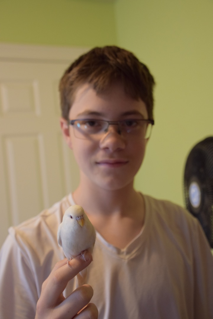 Boy and birb