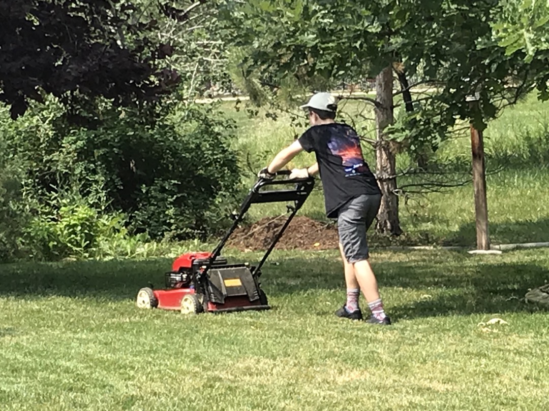 Lawn helper