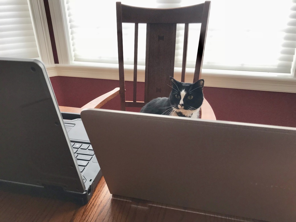 Checking the data