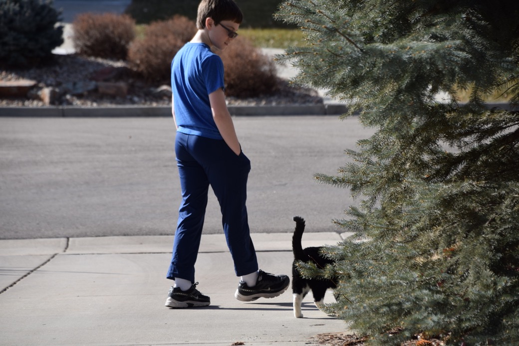 Tim and Henry, out for a walk