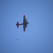 DSC_8325.JPG