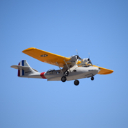 DSC_8452.JPG