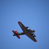 DSC_8462.JPG