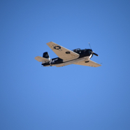 DSC_8466.JPG