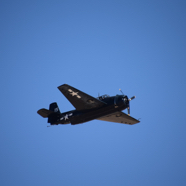 DSC_8476.JPG