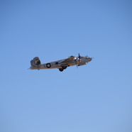 DSC_8480.JPG