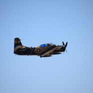 DSC_8491.JPG