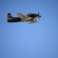 DSC_8503.JPG