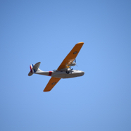 DSC_8564.JPG