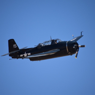 DSC_8574.JPG