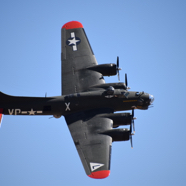 DSC_8667.JPG