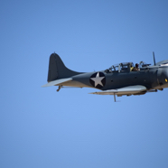 DSC_8684.JPG