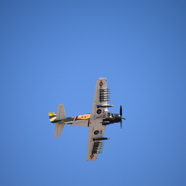 DSC_8703.JPG