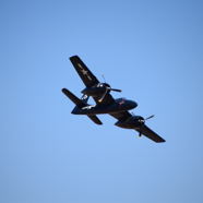 DSC_8738.JPG