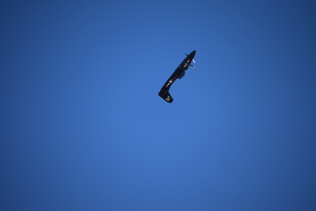 Tigercat heading over backwards