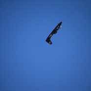 DSC_8769.JPG