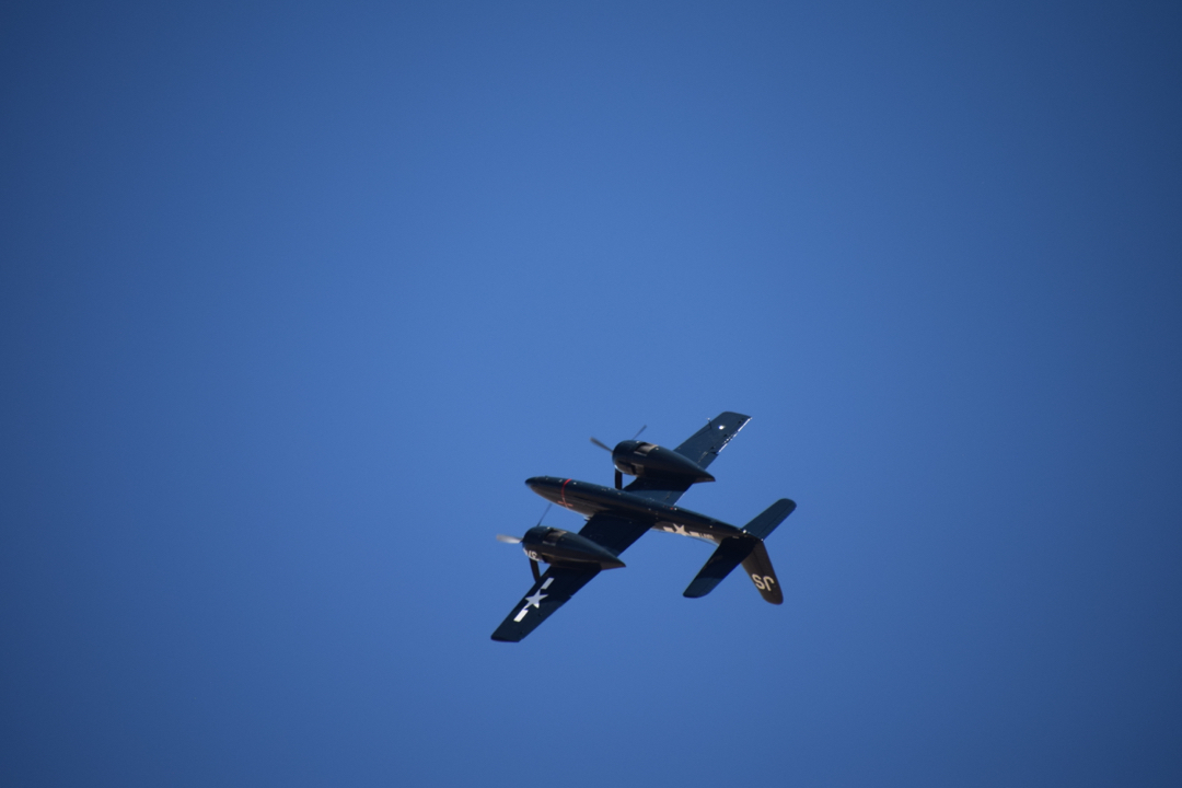 Tigercat acrobatics