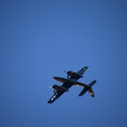 DSC_8790.JPG