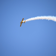 DSC_8809.JPG