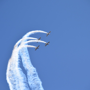 DSC_8837.JPG