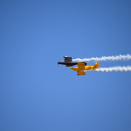 DSC_8871.JPG