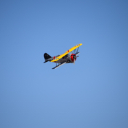 DSC_8884.JPG