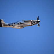 DSC_8913.JPG
