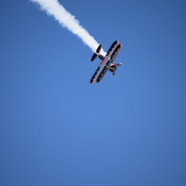 DSC_8921.JPG