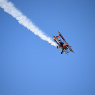 DSC_8923.JPG