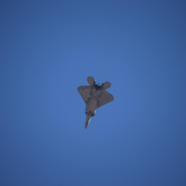 DSC_8989.JPG