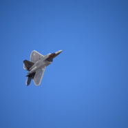 DSC_9320.JPG