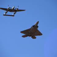 DSC_9529.JPG