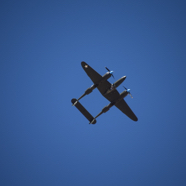 DSC_9546.JPG