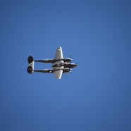 DSC_9553.JPG