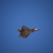 DSC_9583.JPG