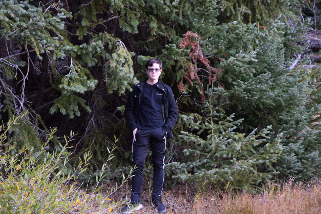 Woodland creature