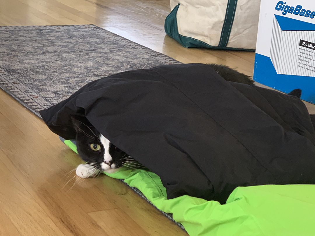 Peeker