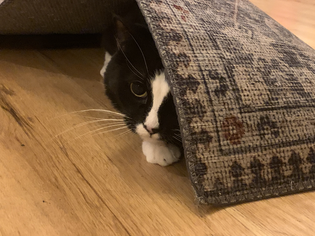 Peeker