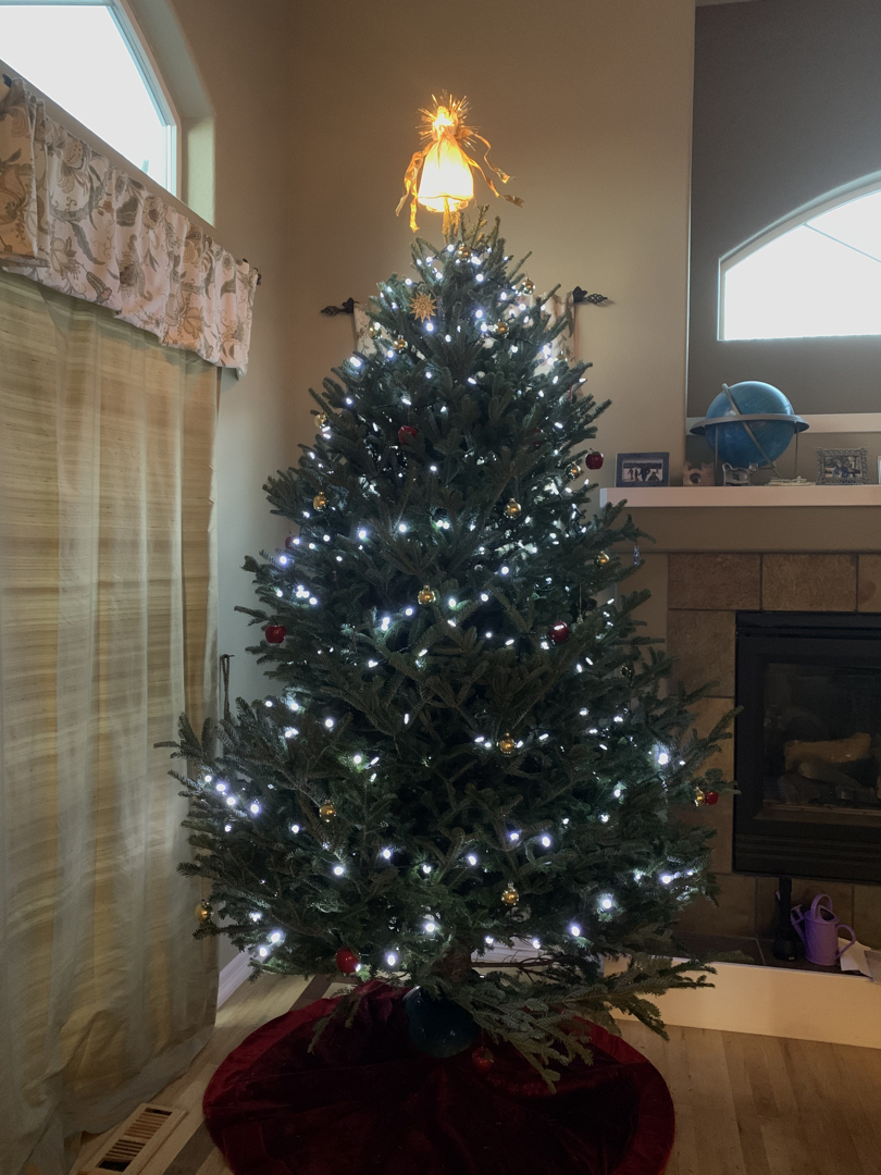 Christmas tree