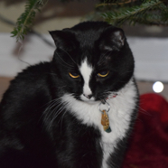 DSC_0181.JPG